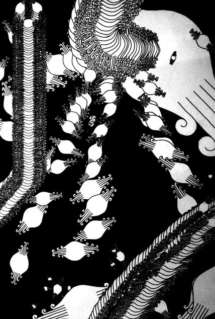 Composición/...