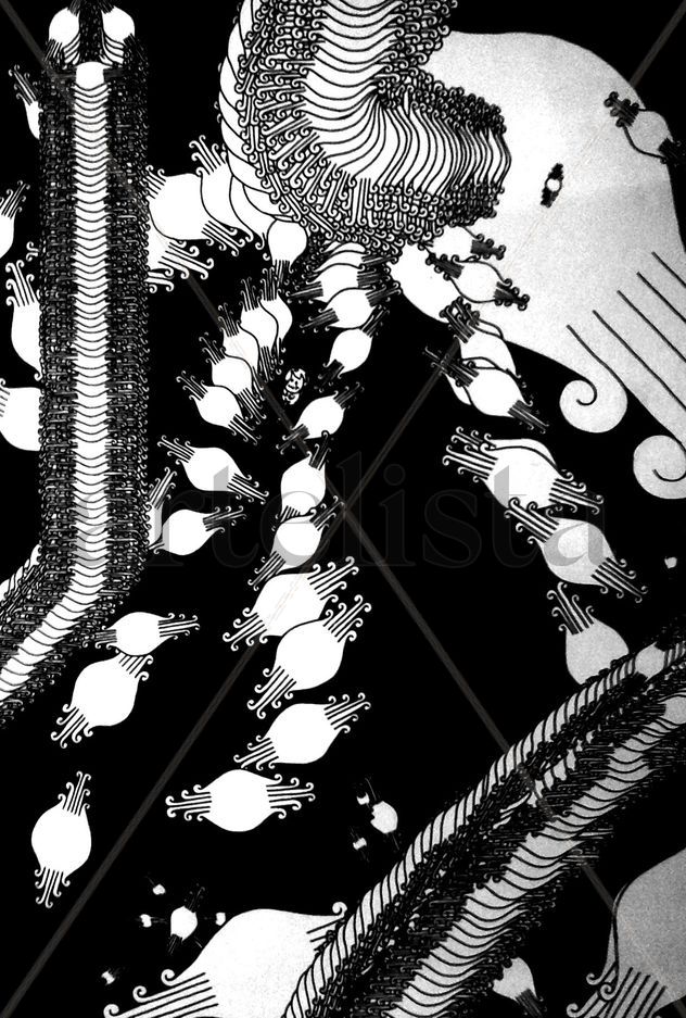 Composición/ Descomposición