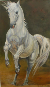 Caballo blanco