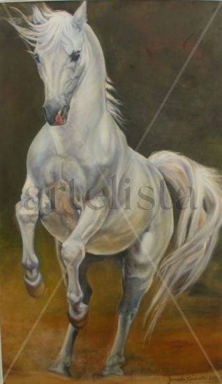 Caballo blanco Óleo Lienzo Animales