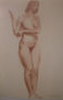 DESNUDO