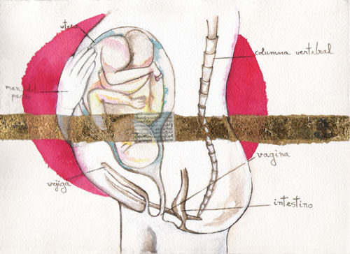 noveno mes-gestacion