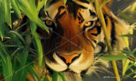 Wild Life
