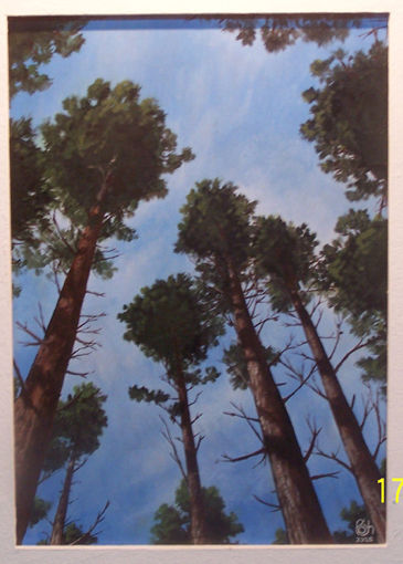 bajo los arboles Acrylic Panel Landscaping