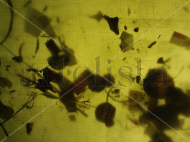 Exploración N°10