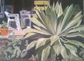 Maguey y sillas