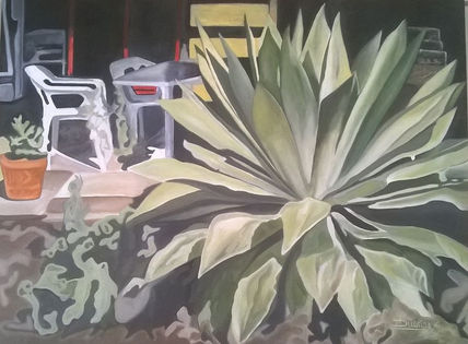 Maguey y sillas