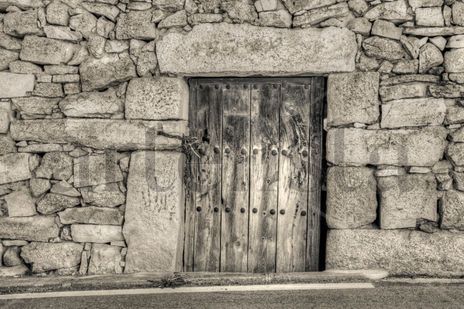 Puertas #14