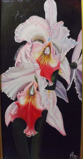 Orquídea Romance autor William Vargas Oil Canvas Floral Painting