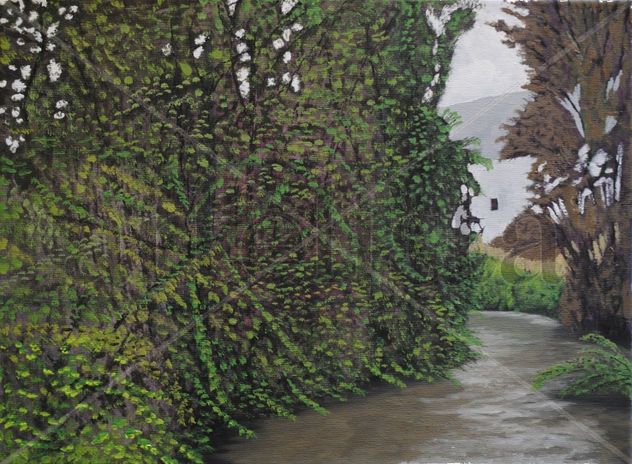 Canal de regadío