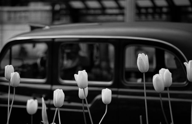 TAXI IN LONDON Travel Black and White (Digital)