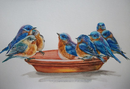 Birds