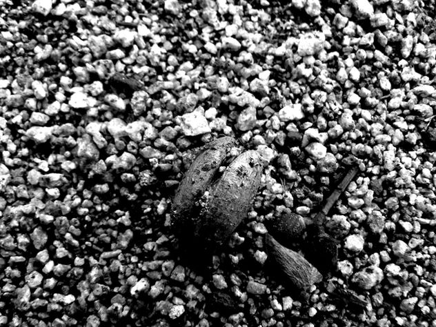 Detalle 1
