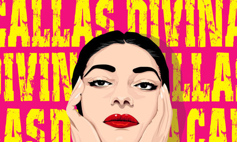ILUSTRACION