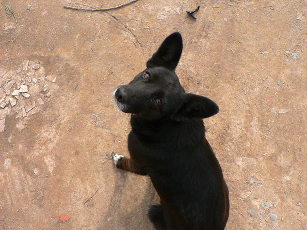 Desierto Portrait Color (Digital)