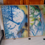 Árboles thumbnail 1