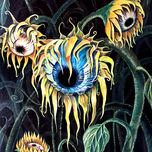 Sun flowers thumbnail 1