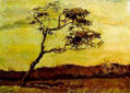 Vincent van Gogh - A A Wind-Beaten Tree - Reproduction