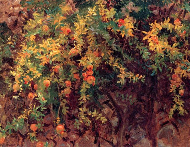 John Singer Sargent - A Pomegranates 2 1908 - Reproduction Oil Canvas Others