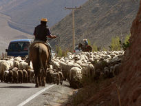 Procesión