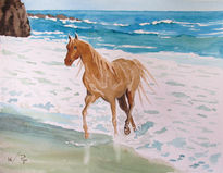 Caballo en la playa 2