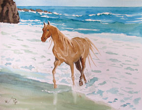 caballo en la playa 2