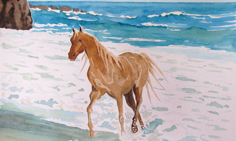 animales