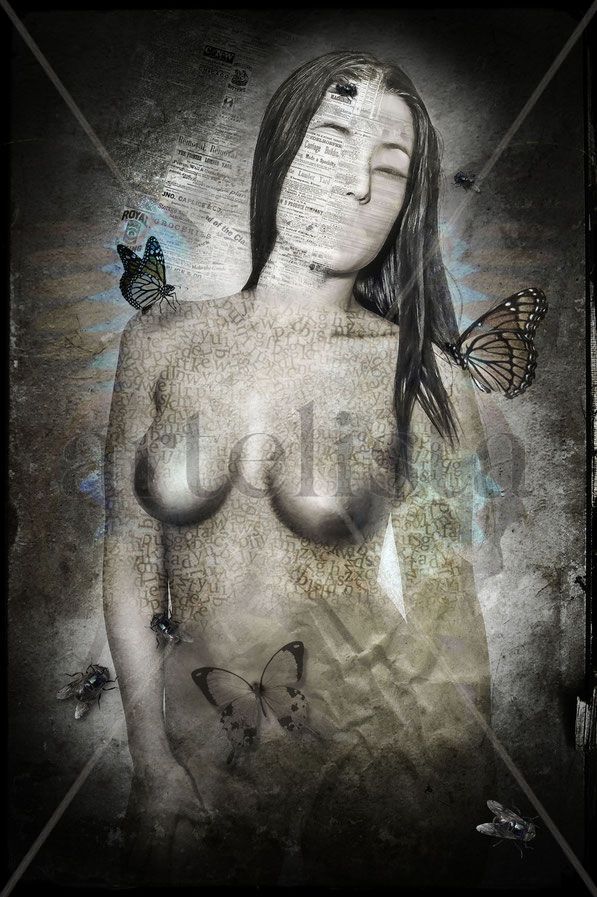 mariposas