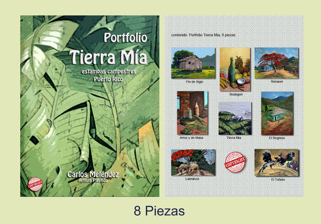 PORTFOLIO TIERRA MIA 