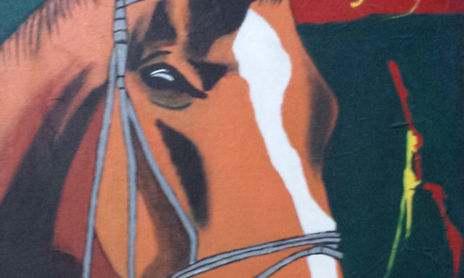 Coleccion del caballo