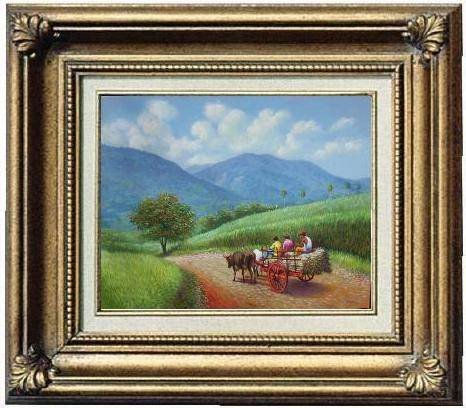 un campo cañero