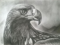 Aguila Real