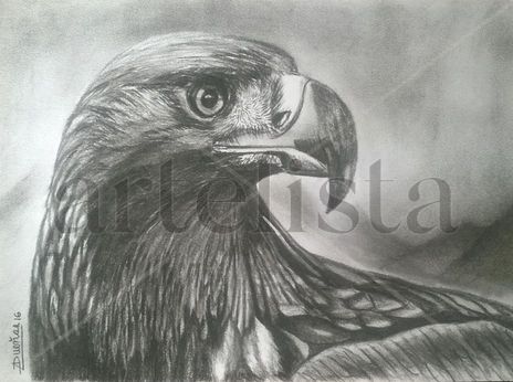 Aguila Real