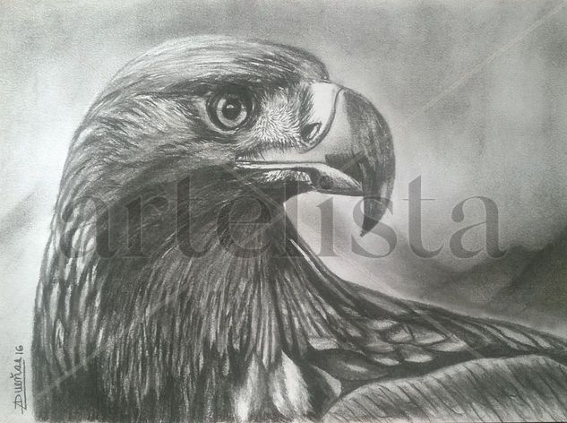 Aguila Real Charcoal