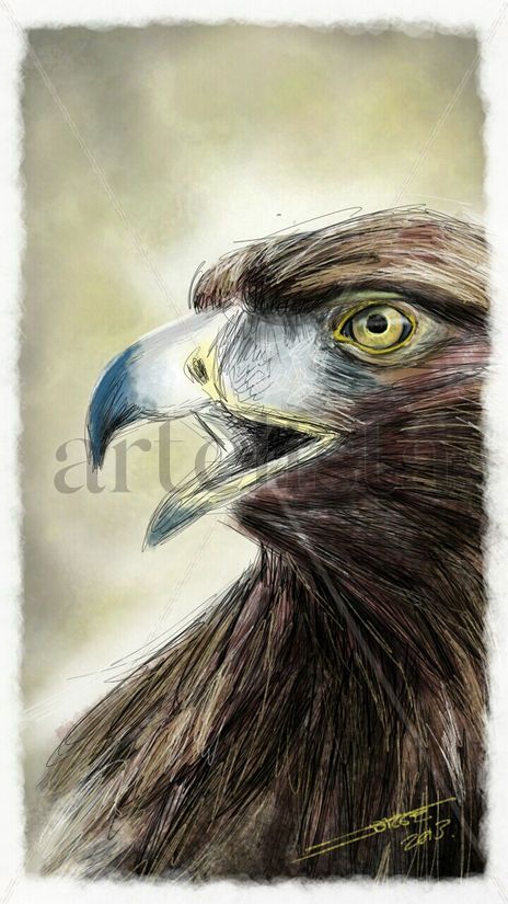 Águila