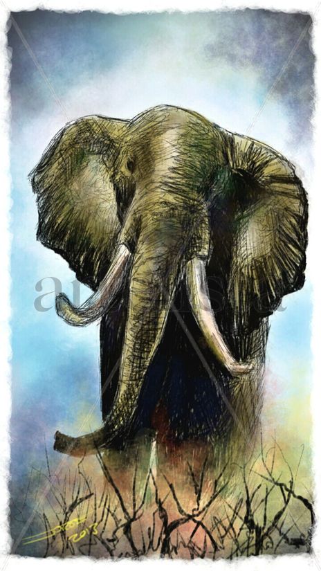 Elefante