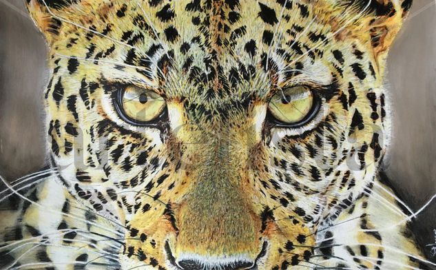 Leopardo Mixed Media