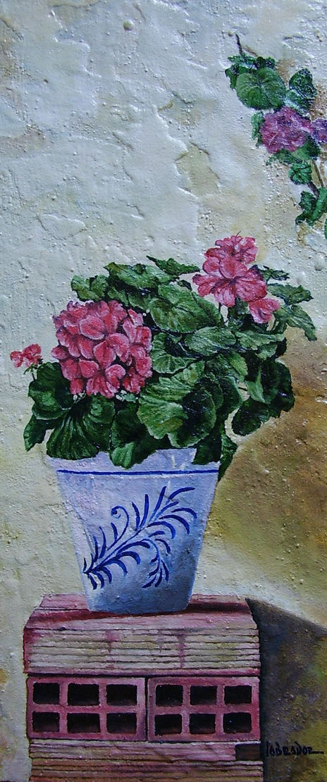 Geranios