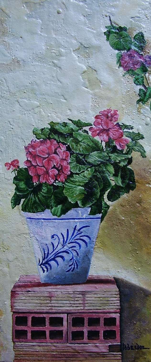 Geranios