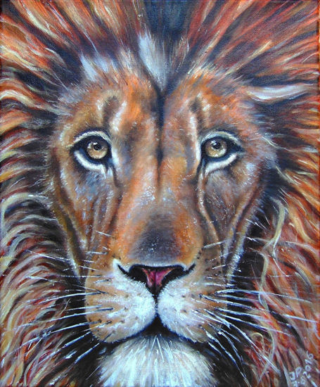 Panthera Leo Oil Canvas Animals