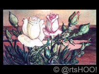 Rosas
