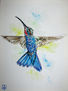 colibri