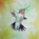 colibríes thumbnail 2