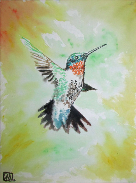 Colibrí-b