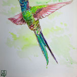 colibríes thumbnail 1