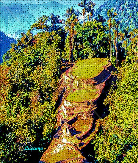Tayrona Landscape