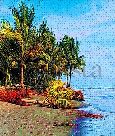 Colombian Pacific