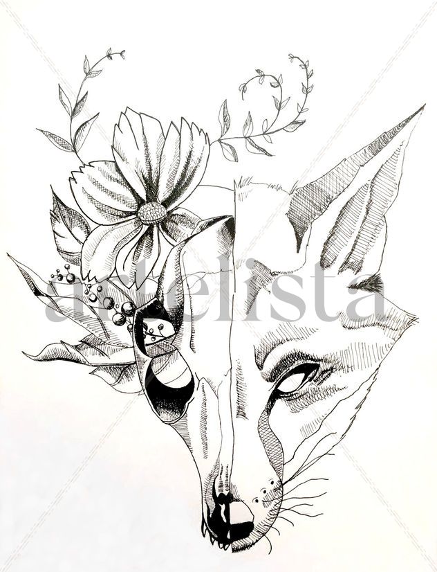 Mr. Fox