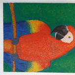 Los aves thumbnail 2
