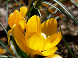 macro naturaleza
